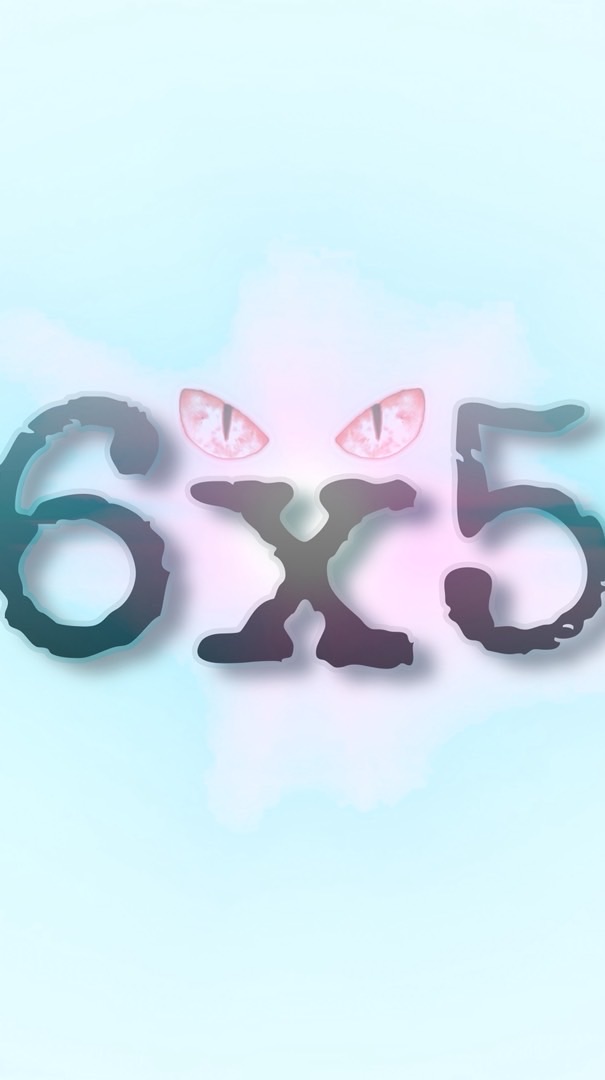 6x5玩具代購.交換