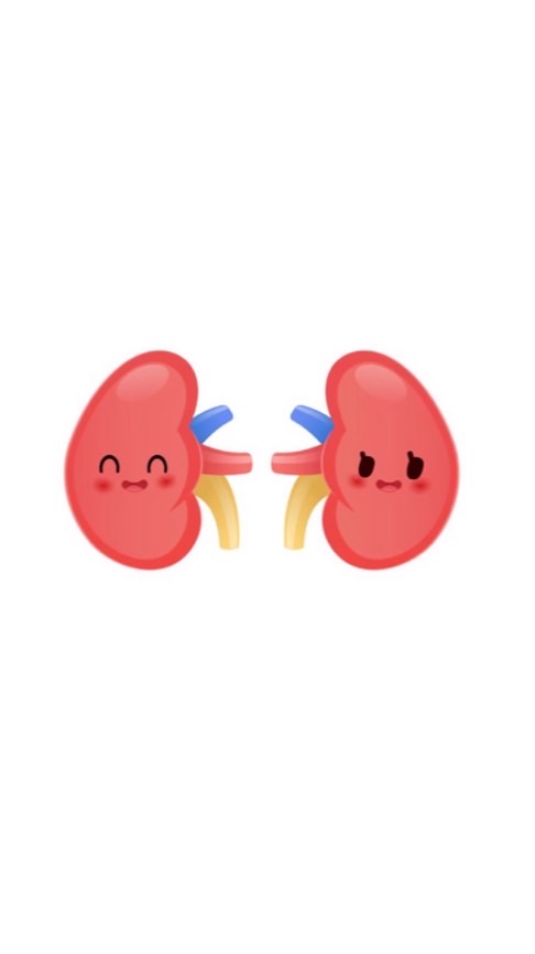 TNMC-kidney