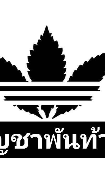 กัญชาใกล้ฉัน3