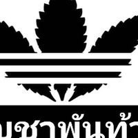 กัญชาใกล้ฉัน3