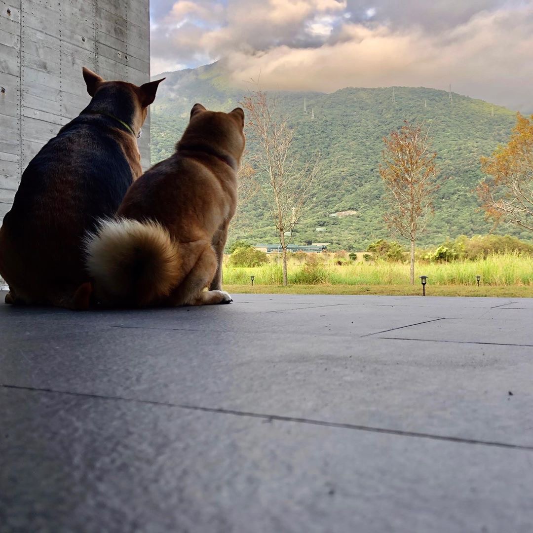 方舟島 @bao Heymik(2)