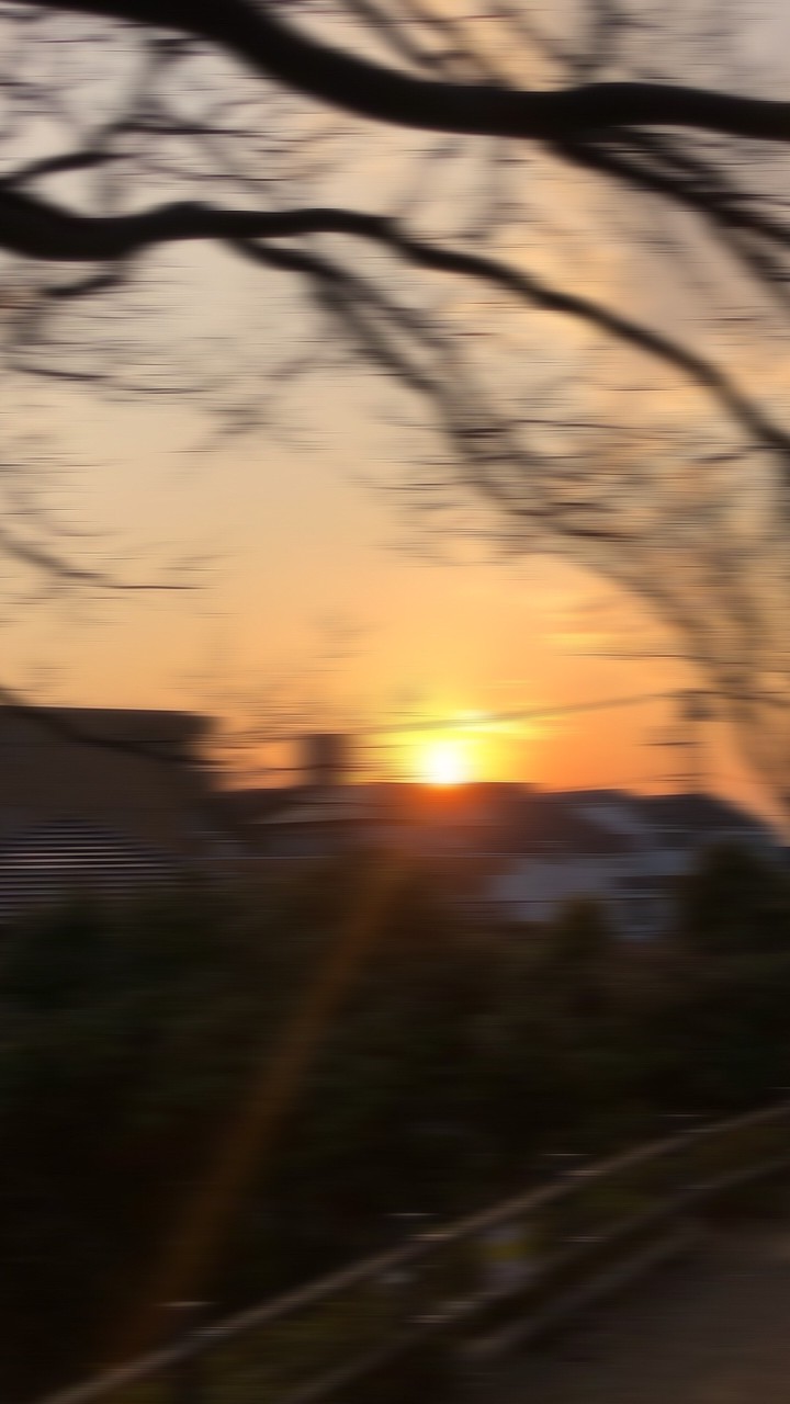 ☆家族オプ☆