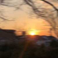 ☆家族オプ☆