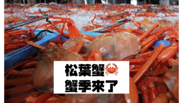 蟹季今天開始了