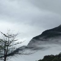 綠色蜂巢