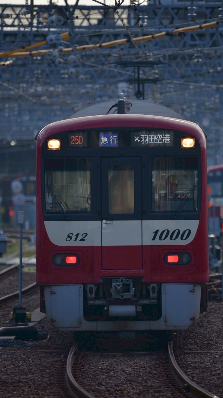 東日本のスジ公開