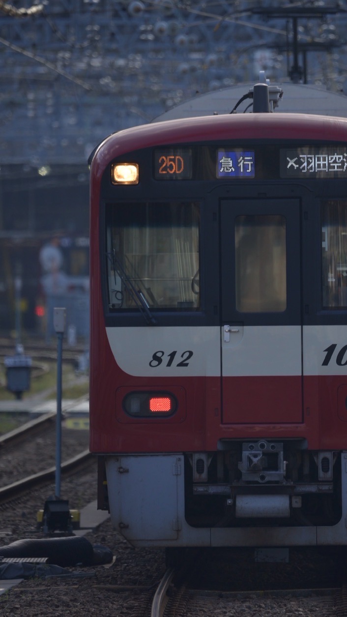 スジ公開