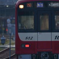 スジ公開