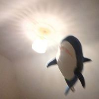 Shark likes to bite you [ #ฉลามคลื่น ]