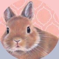 手工牧草架販售🐰