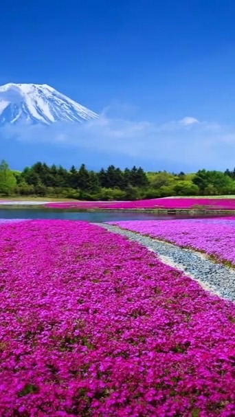 【美樂地歌唱園地】社群