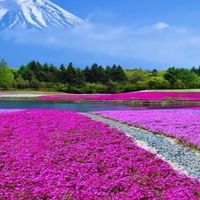 【美樂地歌唱園地】社群