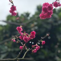 潭美國小討論區