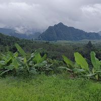 thailandcitytour
