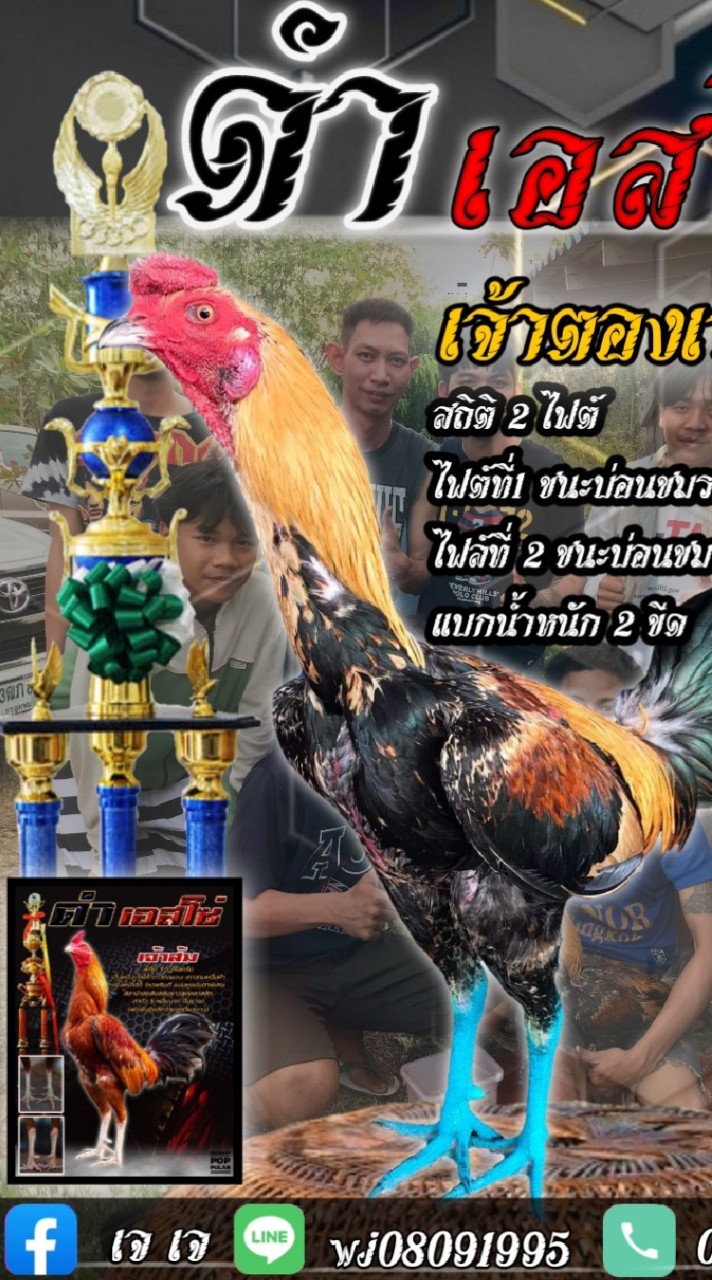 พลังหนุ่ม ฟาร์ม