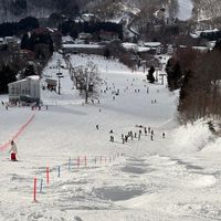 【公式掲示板】山形県スキー技術選手権大会