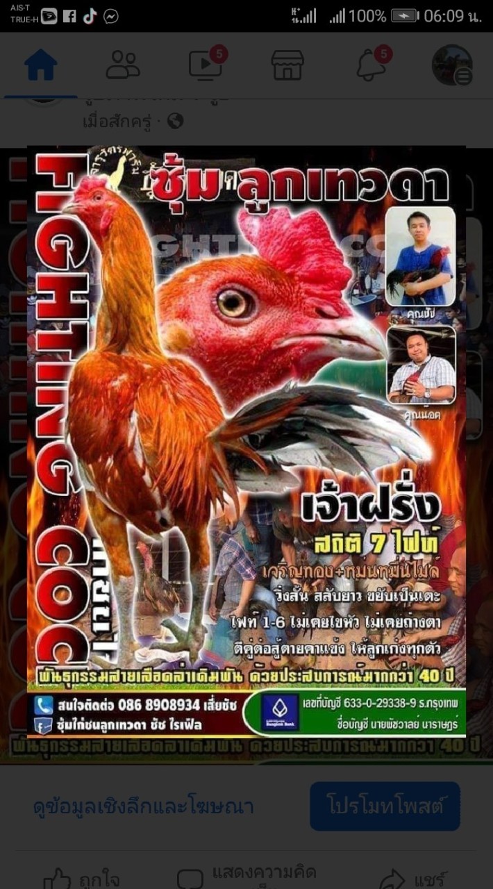 ตลาดซื้อขายและแลกเปลี่ยนไก่ชน