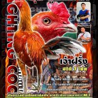 ตลาดซื้อขายและแลกเปลี่ยนไก่ชน