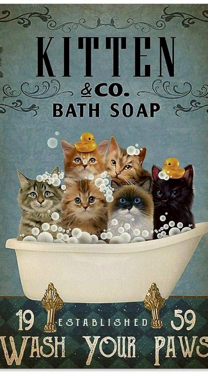 😺沐沐猫當家👉🏻貓用品推薦團代購分享群/⁠ᐠ⁠｡⁠ꞈ⁠｡⁠ᐟ⁠\🌹