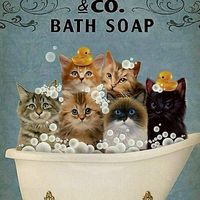 😺沐沐猫當家👉🏻貓用品推薦團代購分享群/⁠ᐠ⁠｡⁠ꞈ⁠｡⁠ᐟ⁠\🌹