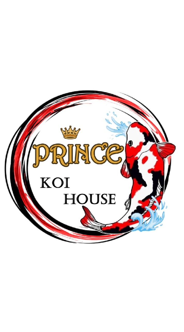 Prince KOI HOUSE
