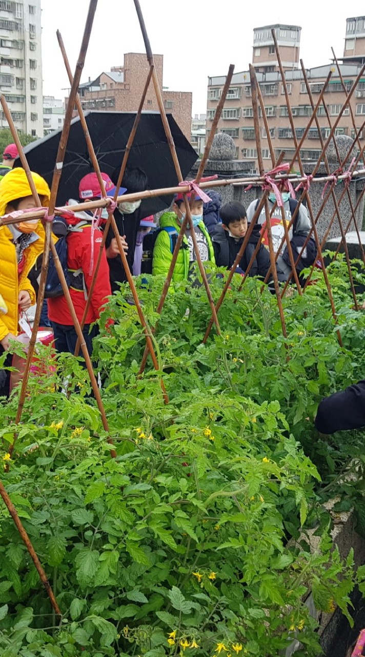 111學年度中園國小604