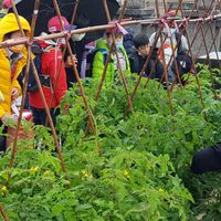 111學年度中園國小604