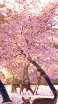 【48】富の計画研究会