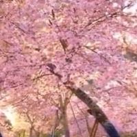 【48】富の計画研究会