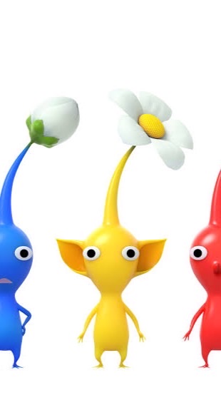 ピクミンだけです（ご主人様もういる）