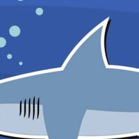 [WireShark Security Academy] 網鯊資安學院