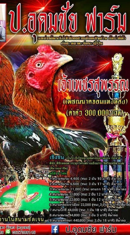 ป.อุดมชัย ฟาร์ม ( P. Udomchai Fram)