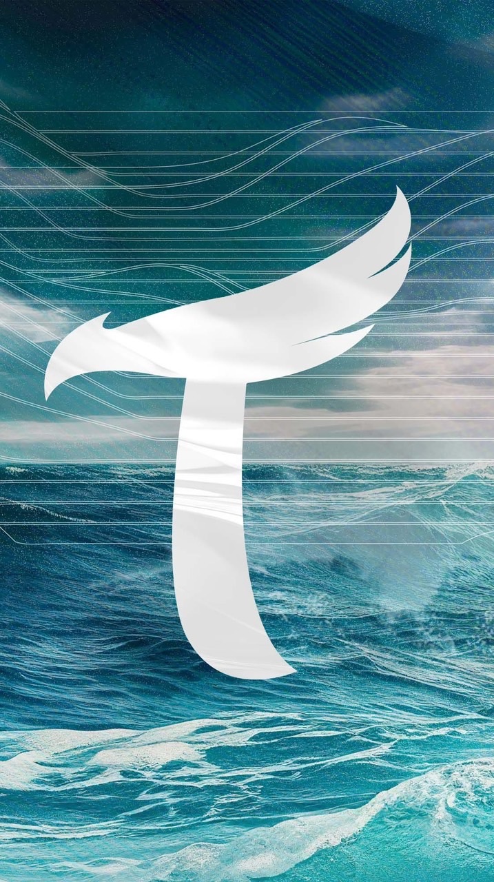 TSG HAWKS台鋼雄鷹🦅TAKAO🦅非官方粉絲團👐