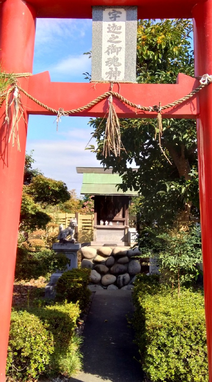 【無料】霊感タロット鑑定（占いなし、カウンセリングのみでもOK）【簡易セッション】瞳香