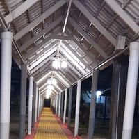 บ้านใหญ่ 499