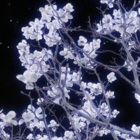 全 也  ➷  デ ス ゲ ー ム  。