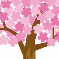 114斗煥櫻花班（教師公告）
