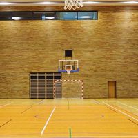 LPS運動追蹤技術討論