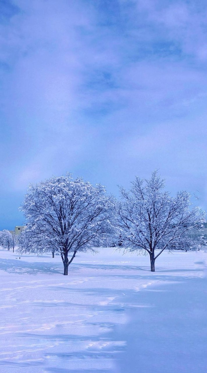 スマホ＆カメラで毎日を|•ᴗ•)و✧pachiri