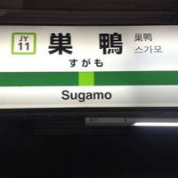 巣鴨で乾杯🍻🥂※20禁