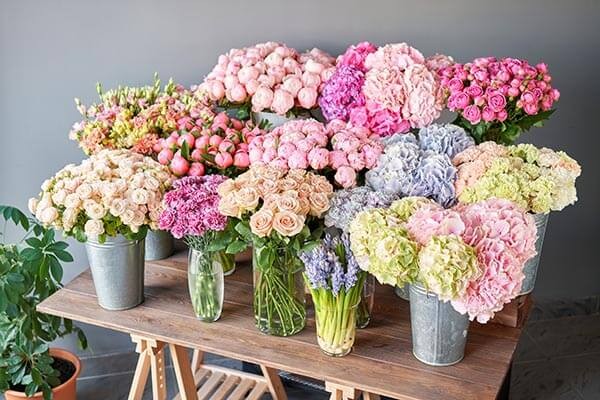 花屋が教える 長持ちする切り花の見分け方とお手入れ方法