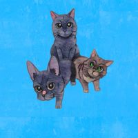 ガーシーのお知らせ