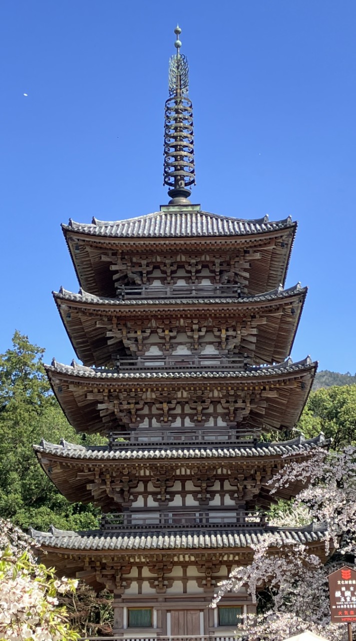 京都神社お寺めぐり