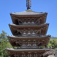 京都🙂神社⛩️お寺御朱印めぐり 😺雑談OKですよ