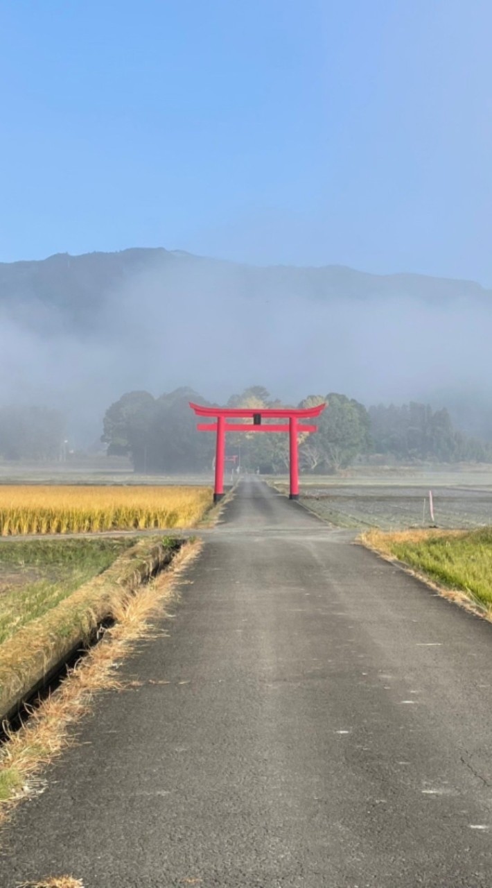 ボイメ歌リレー！中高限定