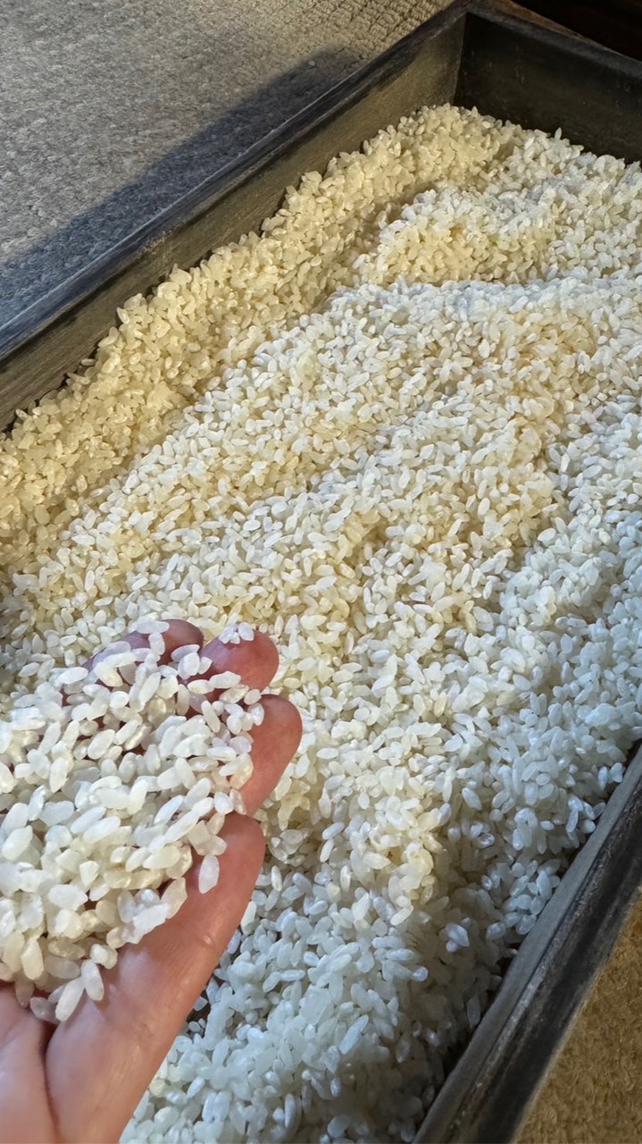 onikojiの食育発酵クラブ