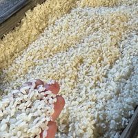 onikojiの食育発酵クラブ