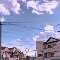 バレー部　中学生