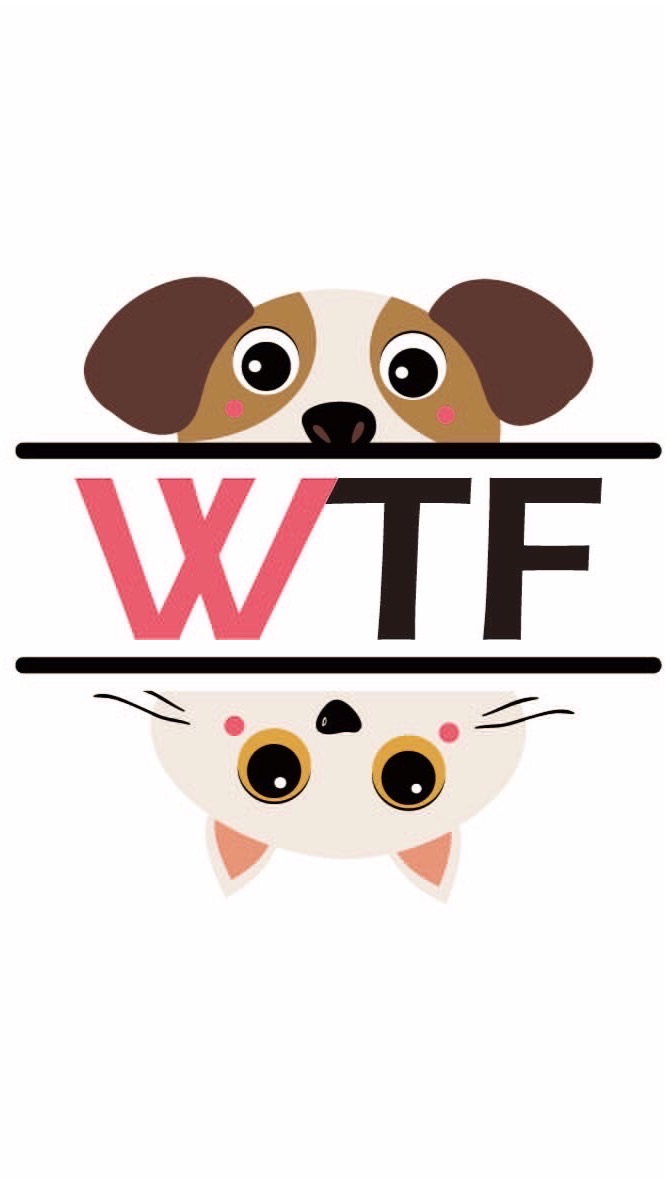 WTF二館 寵物手工零食