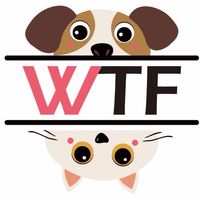 WTF二館 寵物手工零食